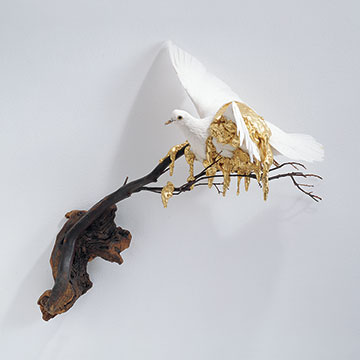Carlee Fernandez, White Pigeon with Gold, 2005, Altered taxidermy, branches and gold leaf 