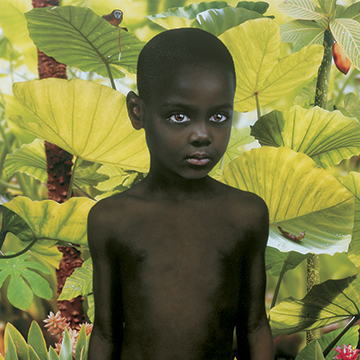 Ruud van Empel, World #2, 2005, Cibachrome, Plexiglass and aluminum