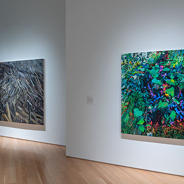 (Left to right) Claire Sherman, Tomory Dodge, and Dylan Mortimer installation from the exhibition real/unreal, April 20 – December 22, 2021