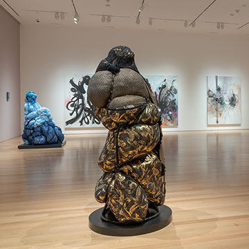 Shinique Smith: Stargazers exhibition at the Nerman Museum