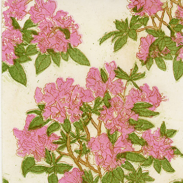 Rhododendrons by Ruben Castillo.