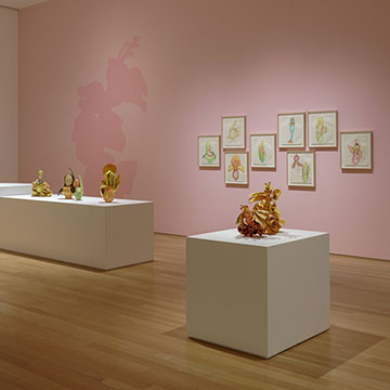 A gallery at the Nerman Museum displaying works of art by Linda Lighton.