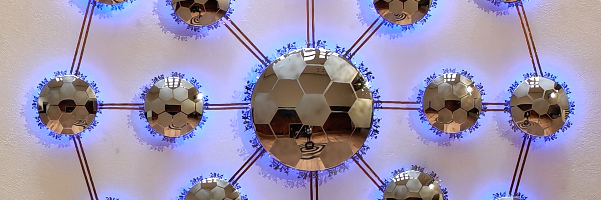 Betsabeé Romero: A Field with Roots